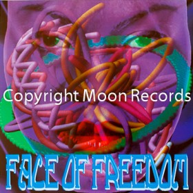 13faceoffreedom-thefinalsolution